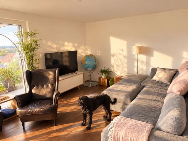 Apartment mieten in Bonstetten Schachen, Bonstetten