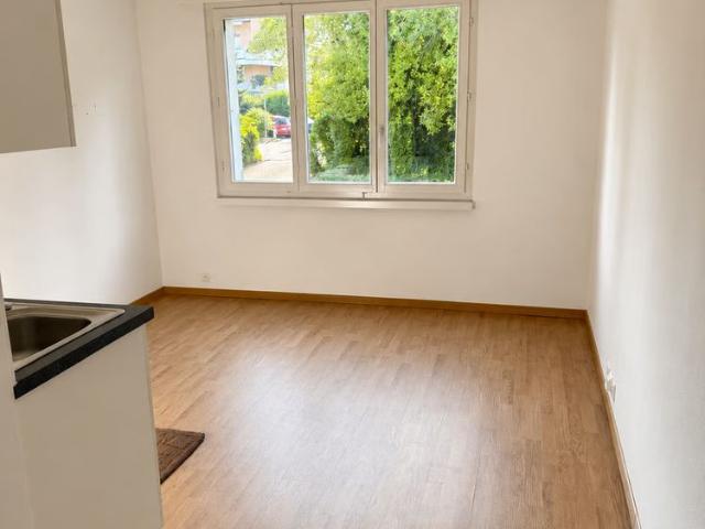 Studio mieten in Schlieren, Zürich