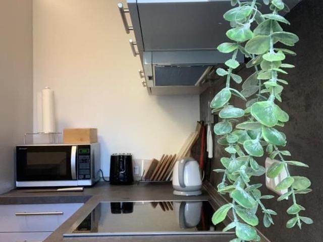 Apartment mieten in Einigen, Zürich