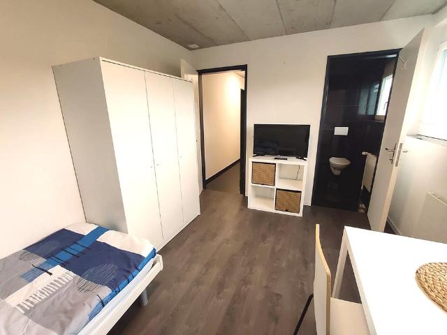 Studio mieten in Dietikon, Zürich