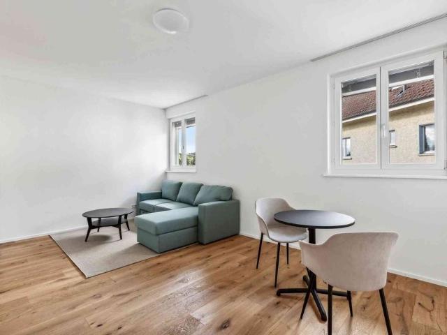 Apartment mieten in Aargau