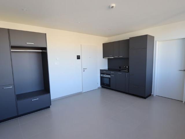 Studio mieten in Beinwil am See, Aargau
