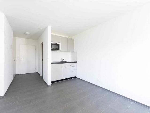 Apartment mieten in Pulvermühle, Chur