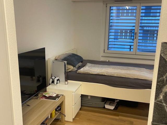 Apartment mieten in Winterthur, Zürich