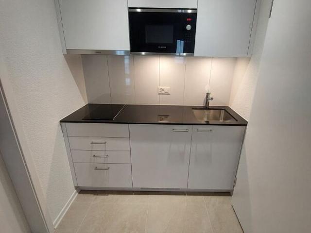 Apartment mieten in Einigen, Zürich