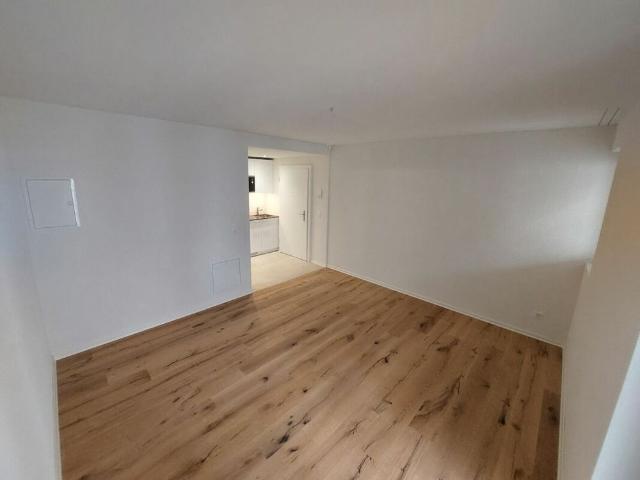 Apartment mieten in Einigen, Zürich