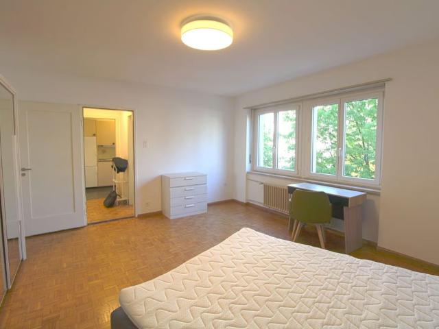 Studio mieten in Kleinbasel, Basel