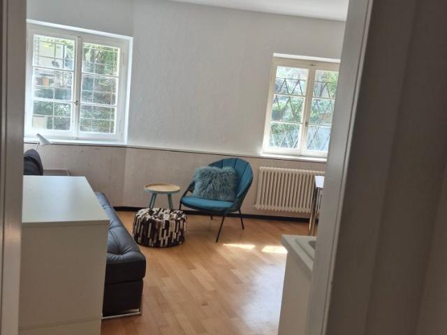 Apartment mieten in Einigen, Zürich