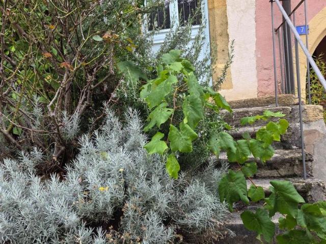 Haus mieten in La Tène