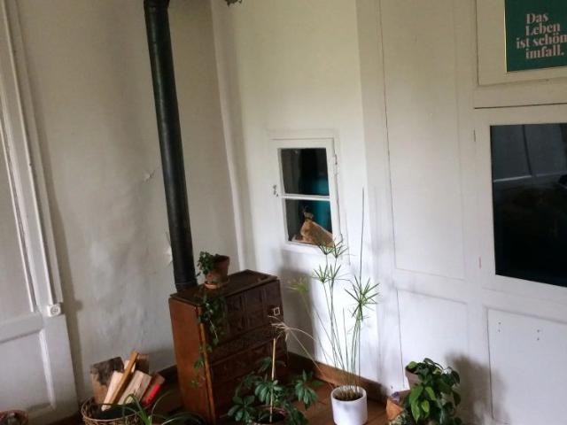 Studio mieten in Bern