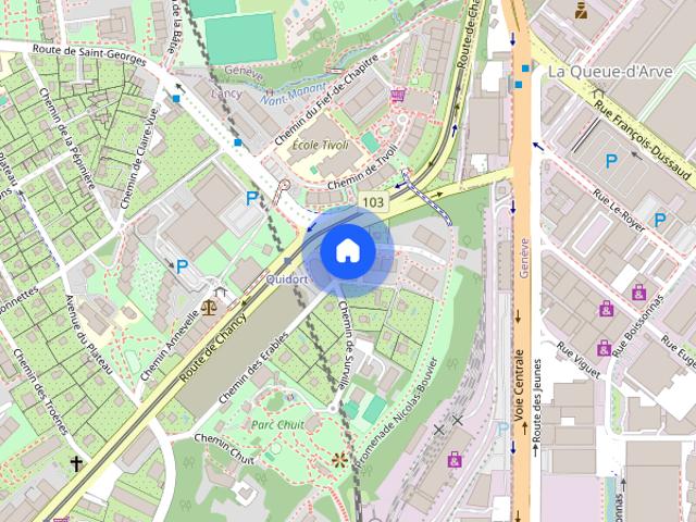 Apartment mieten in Lancy