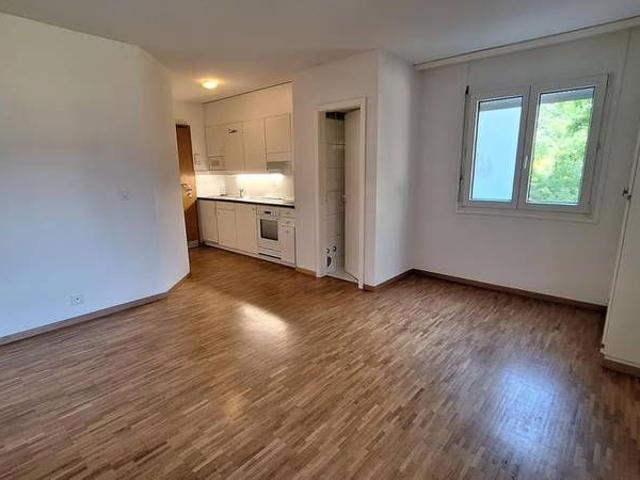 Apartment mieten in Mont-sur-Lausanne, Waadt