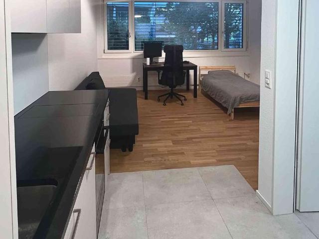 Apartment mieten in Grossbasel, Basel