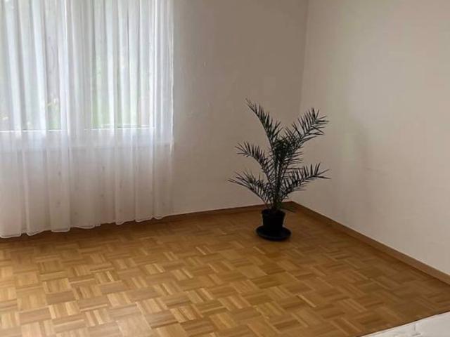 Apartment mieten in Freienbach, Schwyz