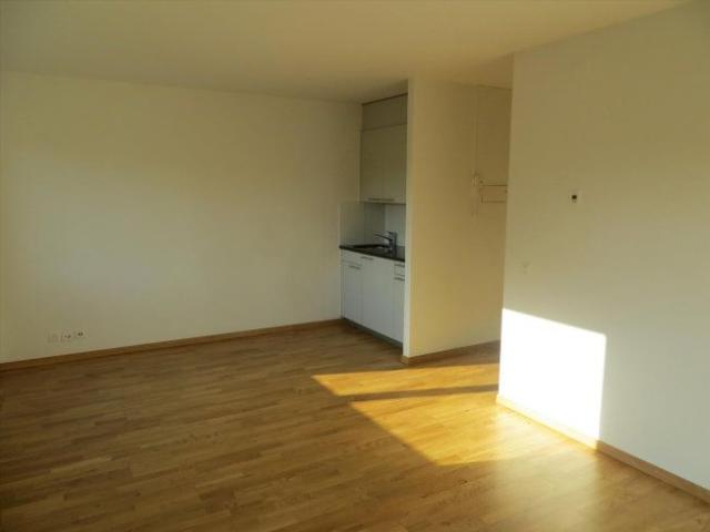 Haus mieten in Solothurn