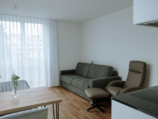 Apartment mieten in Dübendorf, Zürich