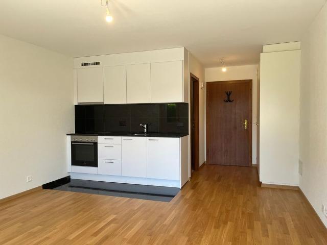 Apartment mieten in Saint-Sulpice (VD), Waadt