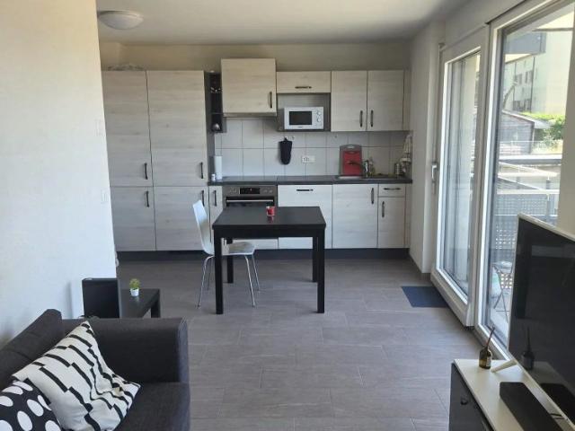 Apartment mieten in Crissier, Waadt