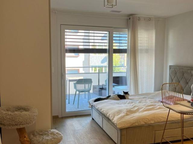 Apartment mieten in Sion
