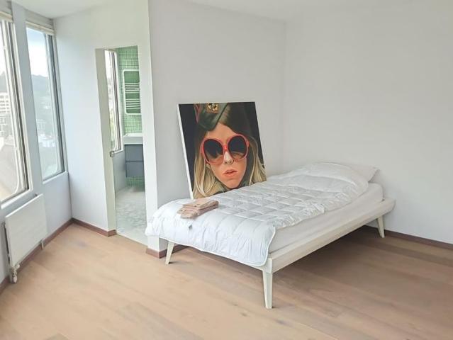 Apartment mieten in Schwarzenbach (SG), St. Gallen
