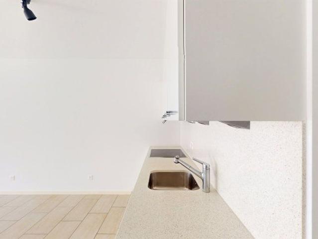 Apartment mieten in Bellinzona, Tessin