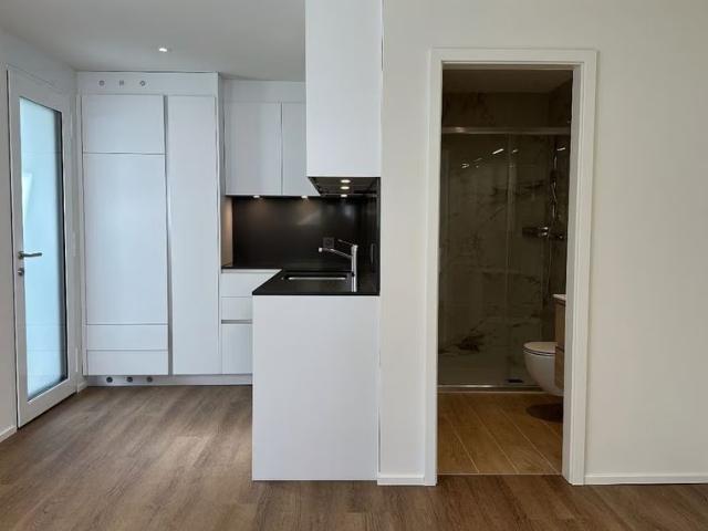 Apartment mieten in Circolo di Lugano est, Lugano