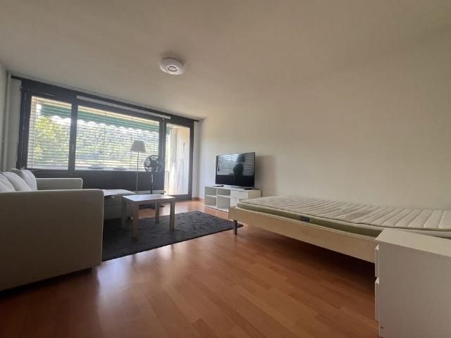 Apartment mieten in Trimbach, Solothurn