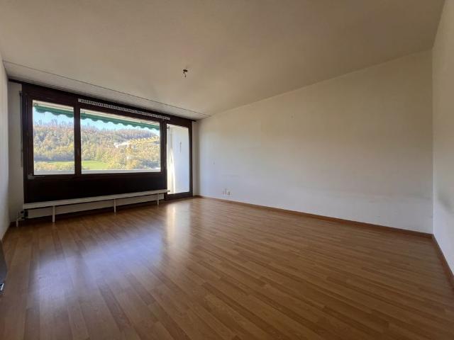 Apartment mieten in Trimbach, Amtei Olten-Gösgen