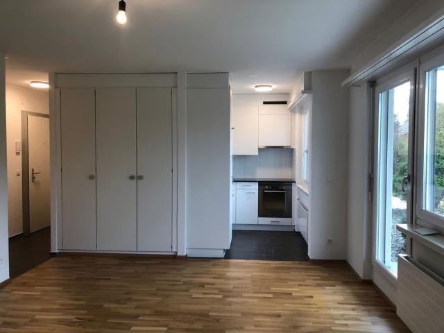 Apartment mieten in Hedingen, Zürich