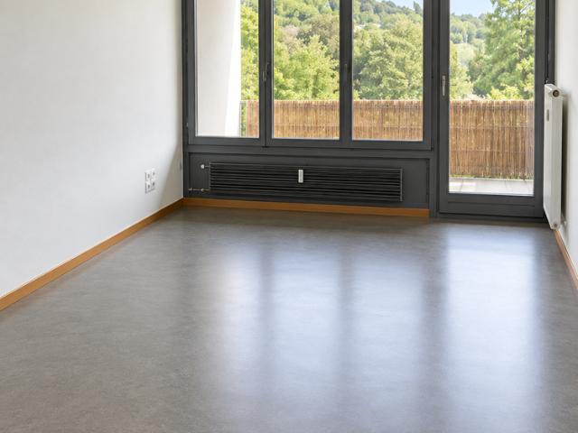 Studio mieten in Felsenau, Bern