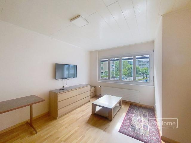 Apartment mieten in Crissier, Waadt