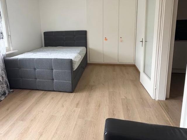 Apartment mieten in Kleinbasel, Basel