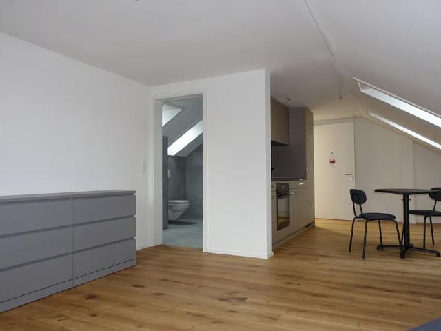 Apartment mieten in Windisch, Aargau