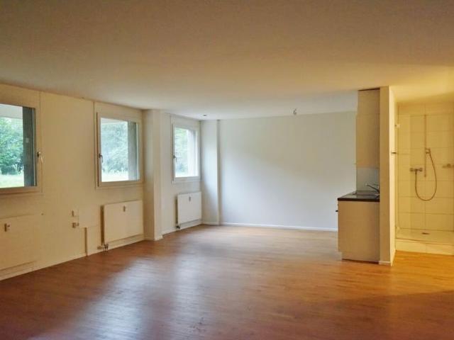 Apartment mieten in Kleinbasel, Basel