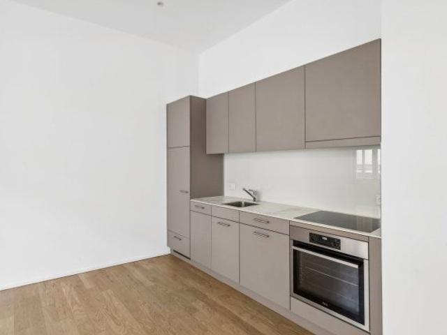 Apartment mieten in Locarno Monti, Locarno