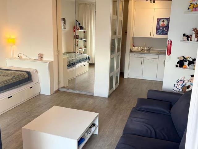 Apartment mieten in Sonchaux, Veytaux