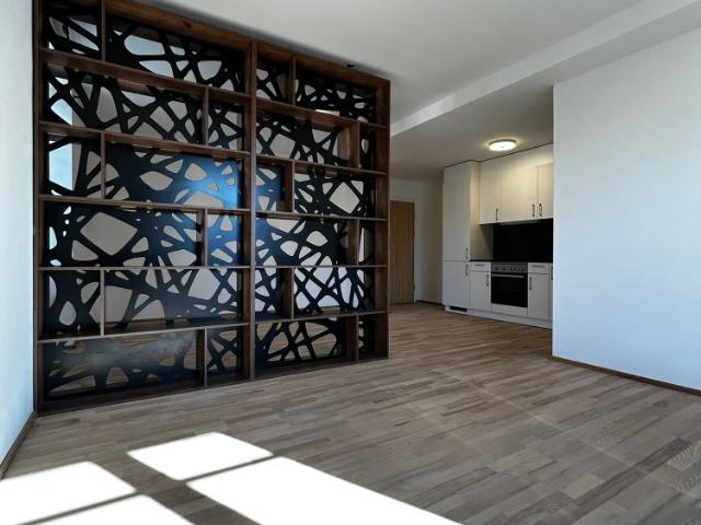 Apartment mieten in Solothurn