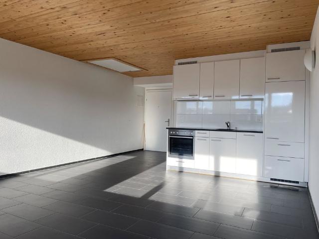 Apartment mieten in Einigen, Zürich