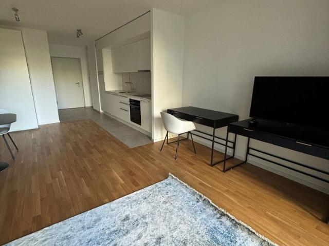 Apartment mieten in Chavannes-près-Renens, Waadt