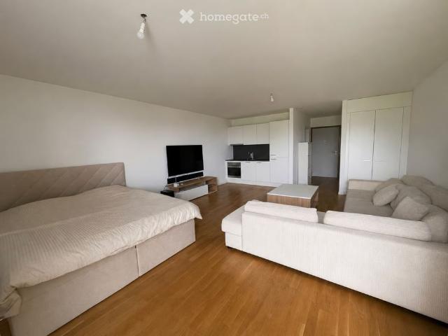 Apartment mieten in Crissier, Waadt