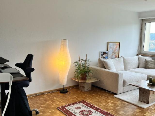 Apartment mieten in Illnau-Effretikon, Zürich