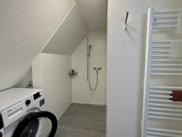 Apartment mieten in Lüchingen, Altstätten