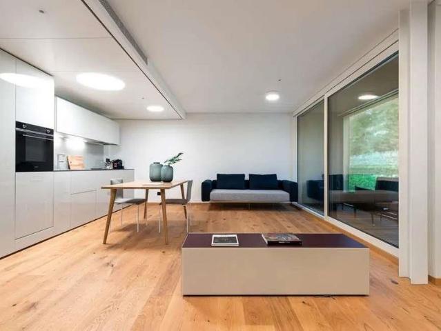 Apartment mieten in S. Pietro, Tessin