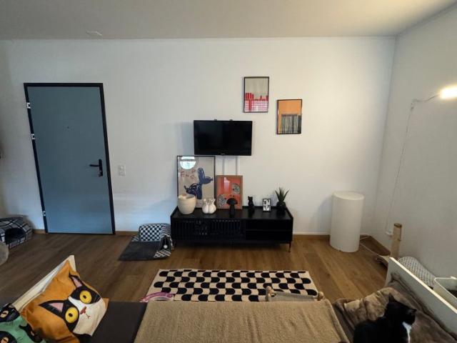 Apartment mieten in Bellinzona, Tessin