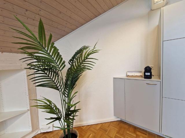 Apartment mieten in Berikon, Aargau