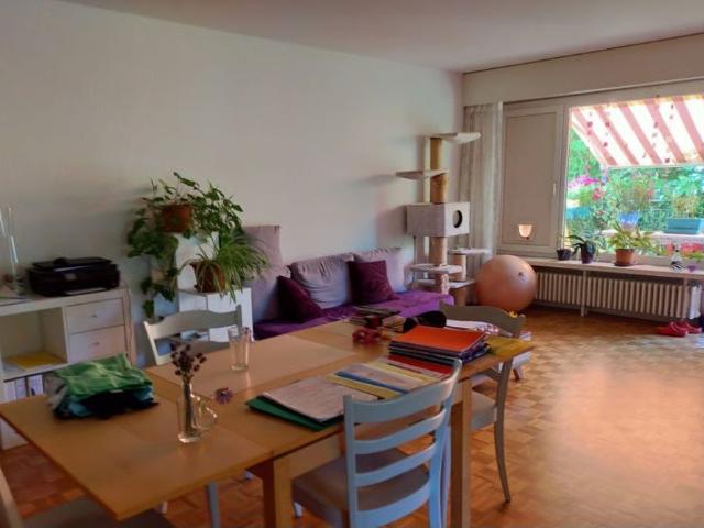 Apartment mieten in Wädenswil, Bezirk Horgen