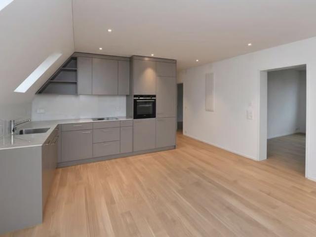Apartment mieten in Büchel, Adliswil