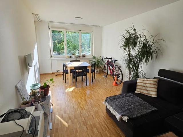 Apartment mieten in Grossbasel, Basel