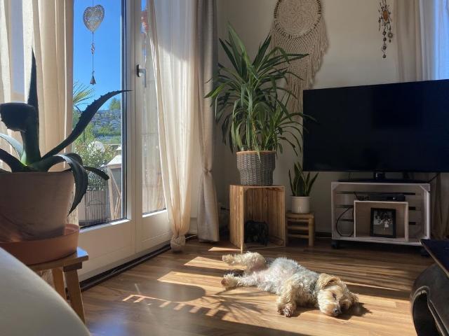 Apartment mieten in Lü