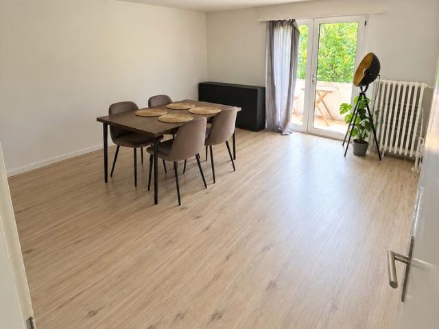 Apartment mieten in Innerwiidle, Schaffhausen